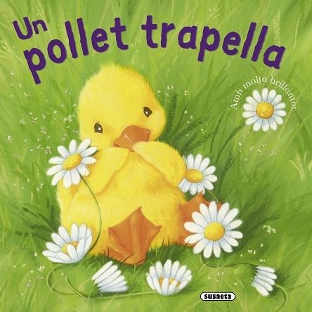 Un pollet trapella | 9788467715811 | Corderoy, Tracey