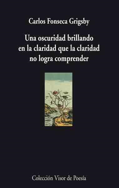 Una oscuridad brillando en la claridad que la claridad no logra comprender | 9788475226811 | Fonseca Grigsby, Carlos