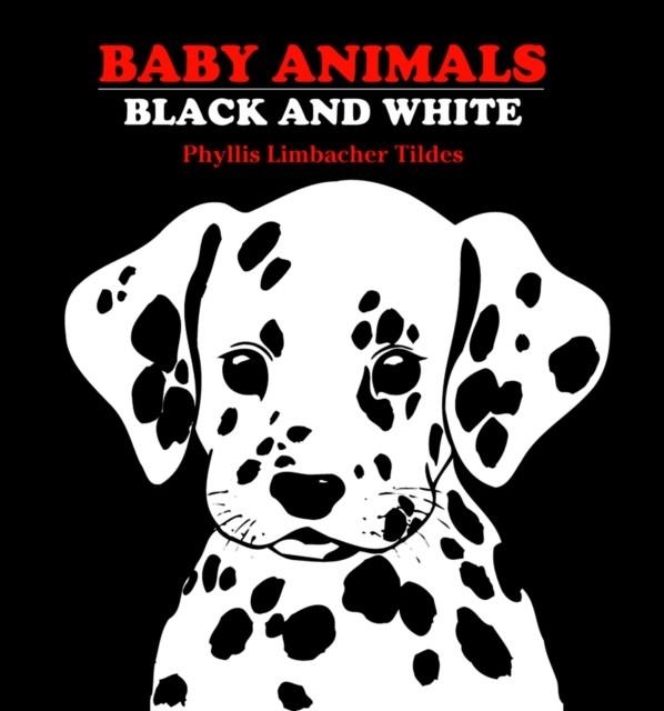 BABY ANIMALS: BLACK AND WHITE | 9780881063134 | PHYLLIS LIMBACHER TILDES