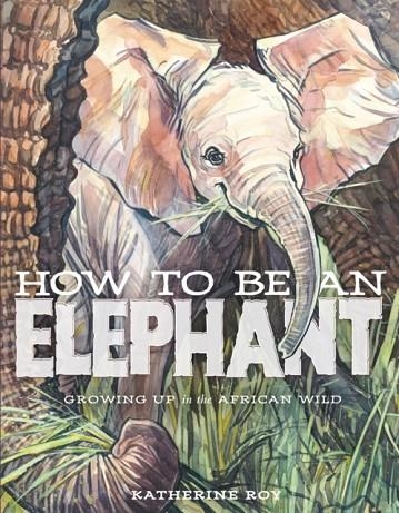 HOW TO BE AN ELEPHANT | 9781626721784 | KATHERINE ROY