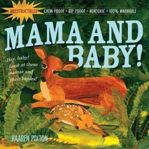 INDESTRUCTIBLES: MAMA AND BABY! | 9780761158592 | AMY PIXTON