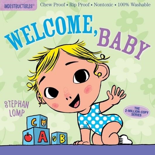 INDESTRUCTIBLES: WELCOME, BABY | 9781523501236 | STEPHAN LOMP