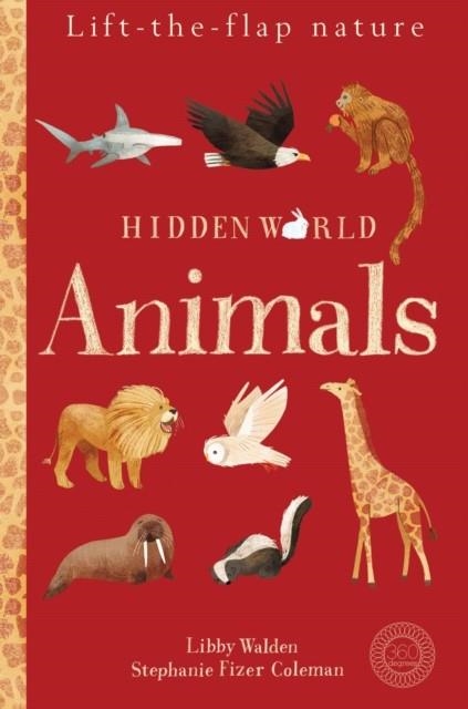 ANIMALS (HIDDEN WORLD) | 9781848577244 | LIBBY WALDEN