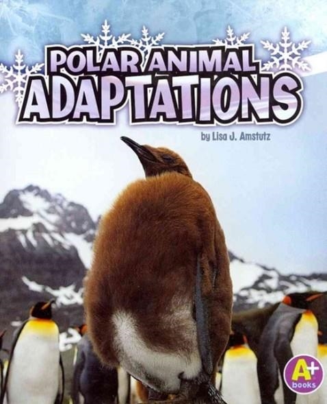 POLAR ANIMAL ADAPTATIONS | 9781429670319 | LISA J. AMSTUTZ