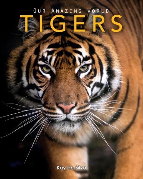TIGERS: AMAZING PICTURES AND FUN FACTS ON ANIMALS IN NATURE | 9781519132543 | KAY SILVA