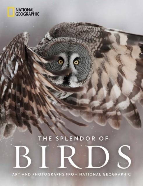 THE SPLENDOR OF BIRDS | 9781426219672 | NATIONAL GEOGRAPHIC