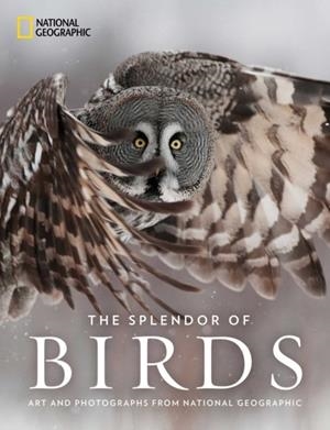 THE SPLENDOR OF BIRDS | 9781426219672 | NATIONAL GEOGRAPHIC