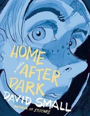 HOME AFTER DARK | 9780871403155 | DAVID SMALL