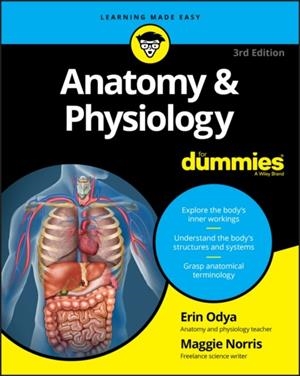 ANATOMY AND PHYSIOLOGY FOR DUMMIES, 3RD EDITION | 9781119345237