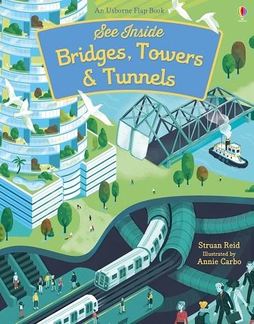 SEE INSIDE BRIDGES, TOWERS AND TUNNELS | 9781474922500 | STRUAN REID