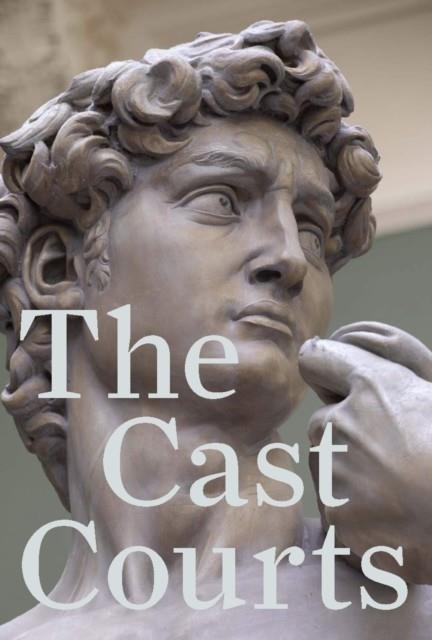 THE CAST COURTS | 9781851779796 | ANGUS PATTERSON/MARJORIE TRUSTED