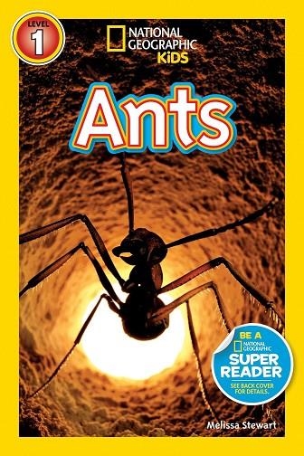 ANTS | 9781426306082 | MELISSA STEWART
