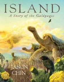 ISLAND: A STORY OF THE GALÁPAGOS  | 9781596437166 | JASON CHIN