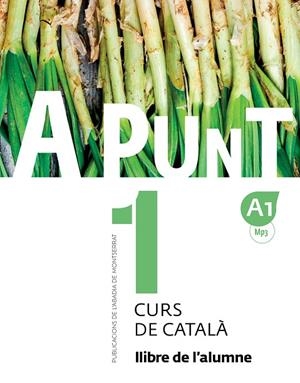 A PUNT. CURS DE CATALÀ. LLIBRE DE L'ALUMNE, 1 MP3 A11 | 9788498839906 | VILAGRASA GRANDIA, ALBERT/Y OTROS