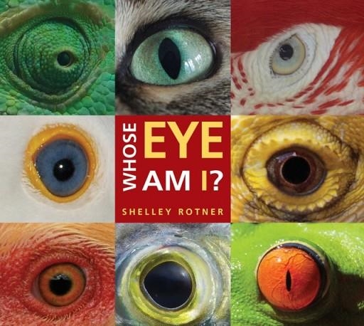 WHOSE EYE AM I? | 9780823440450 | SHELLEY ROTNER