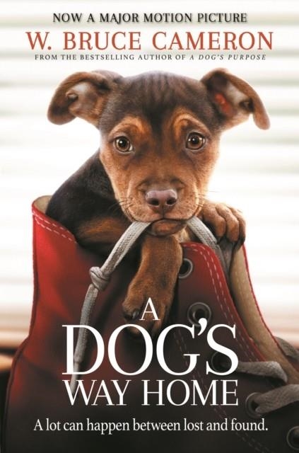 A DOG'S WAY HOME (FILM) | 9781529002690 | W BRUCE CAMERON