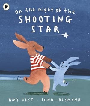 ON THE NIGHT OF THE SHOOTING STAR | 9781406379372 | AMY HEST