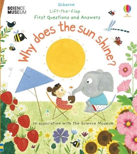 WHY DOES THE SUN SHINE? | 9781474948173 | KATIE DAYNES