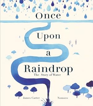 ONCE UPON A RAINDROP | 9781848577145 | JAMES CARTER