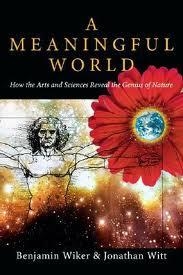 MEANINGFUL WORLD, A | 9780830827992 | BENJAMIN WIKER