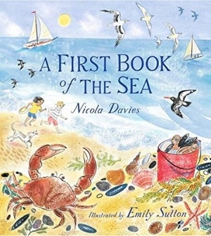 A FIRST BOOK OF THE SEA | 9781406368956 | NICOLA DAVIES