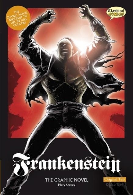 FRANKENSTEIN ORIGINAL TEXT GRAPHIC NOVEL | 9781906332150 | MARY SHELLEY
