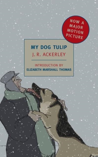 MY DOG TULIP | 9781590174142 | J R ACKERLEY