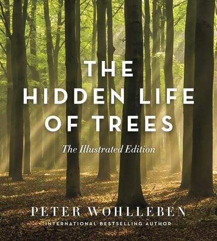THE HIDDEN LIFE OF TREES | 9781771643481 | PETER WOHLLEBEN