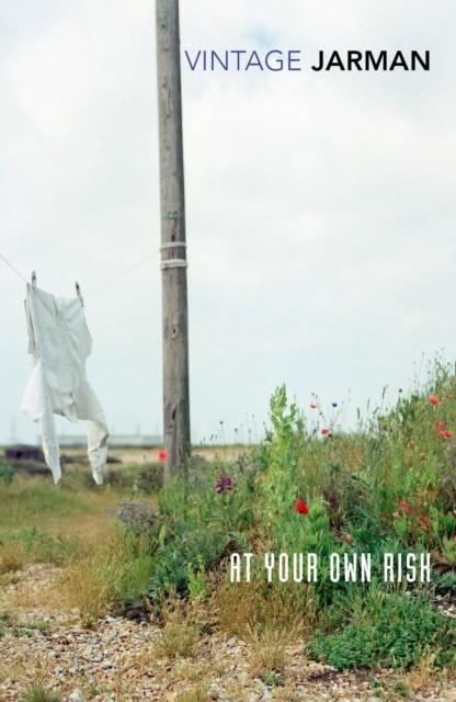 AT YOUR OWN RISK | 9780099222910 | DEREK JARMAN