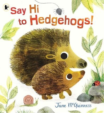 SAY HI TO HEDGEHOGS! | 9781406385830 | JANE MCGUINNESS