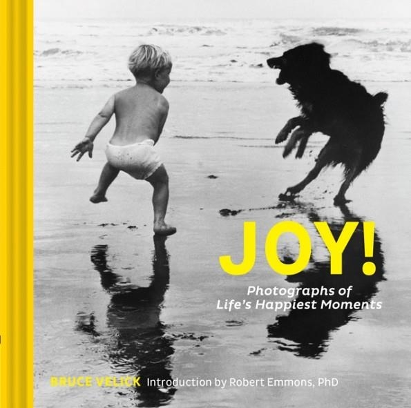 JOY! | 9781452167893 | BRUCE VELICK/ROBERT A EMMONS