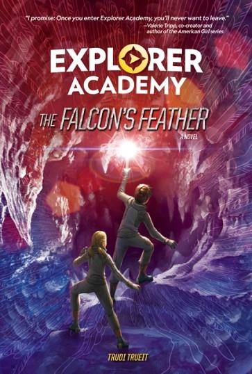 THE FALCON'S FEATHER | 9781426333040 | TRUDI TRUEIT