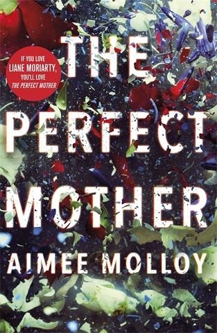THE PERFECT MOTHER | 9780751570342 | AIMEE MOLLOY