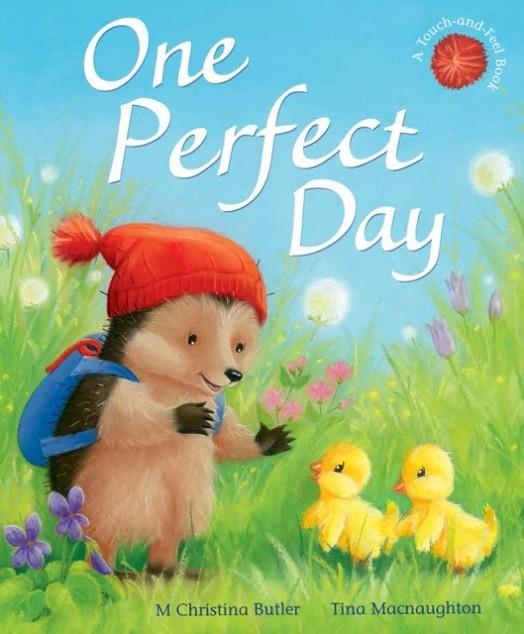 ONE PERFECT DAY | 9781848698345 | M CHRISTINA BUTLER