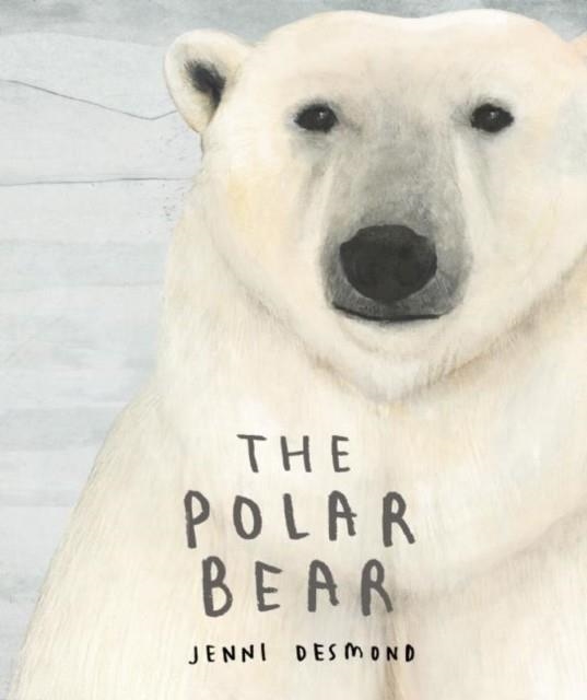 THE POLAR BEAR HB | 9781592702008 | JENNI DESMOND 