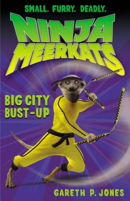 NINJA MEERKATS 6: BIG CITY BUST-U | 9781847152541 | GARETH P JONES