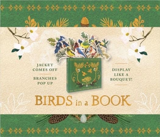 BIRDS IN A BOOK | 9781419733932 | EARLE LESLEY