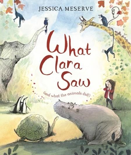 WHAT CLARA SAW | 9781509866601 | JESSICA MESERVE