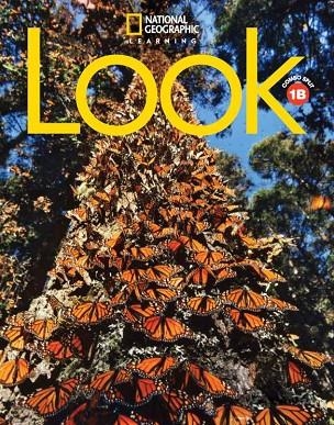 LOOK STARTER COMBO SPLIT B | 9781337797825