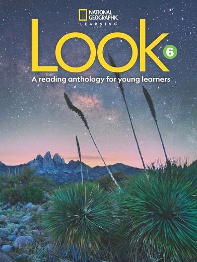 LOOK LEVEL 6 READING ANTHOLOGY | 9780357021590