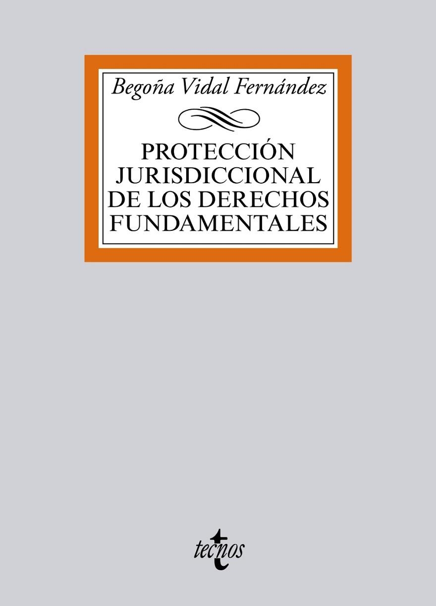 PROTECCIÓN JURISDICCIONAL DE LOS DERECHOS FUNDAMENTALES | 9788430965991 | VIDAL FERNÁNDEZ, BEGOÑA