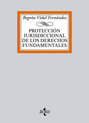 PROTECCIÓN JURISDICCIONAL DE LOS DERECHOS FUNDAMENTALES | 9788430965991 | VIDAL FERNÁNDEZ, BEGOÑA
