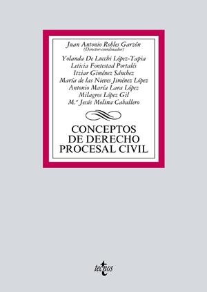 CONCEPTOS DE DERECHO PROCESAL CIVIL | 9788430971589 | ROBLES GARZÓN, JUAN ANTONIO;LUCCHI LÓPEZ-TAPIA, YOLANDA DE;FONTESTAD PORTALÉS, LETICIA;JIMÉNEZ LÓPEZ