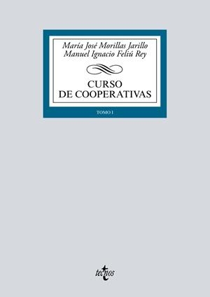 CURSO DE COOPERATIVAS | 9788430972036 | MORILLAS JARILLO, MARÍA JOSÉ;FELIÚ REY, MANUEL IGNACIO