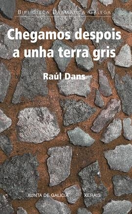 CHEGAMOS DESPOIS A UNHA TERRA GRIS | 9788499142098 | DANS, RAÚL