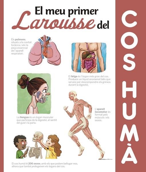 EL MEU PRIMER LAROUSSE DEL COS HUMÀ | 9788417273606 | LAROUSSE EDITORIAL