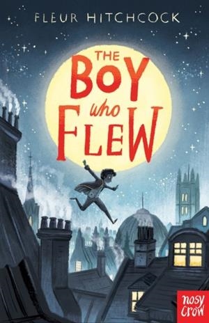 THE BOY WHO FLEW | 9781788004381 | FLEUR HITCHCOCK
