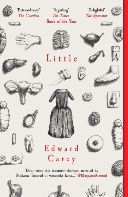 LITTLE | 9781910709535 | EDWARD CAREY