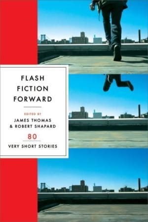FLASH FICTION FOWARD | 9780393328028 | VARIS AUTORS