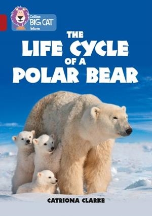 THE LIFE CYCLE OF A POLAR BEAR -NON-FICTION-RUBY - BAND 14 | 9780008208813 | CATRIONA CLARKE